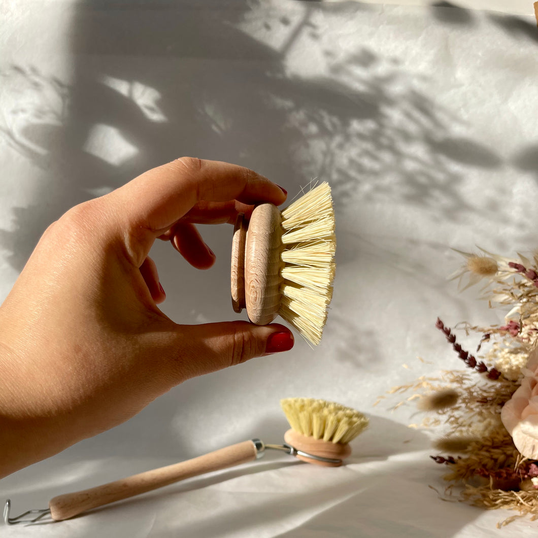 Tête de brosse à vaisselle - Le nom des fleurs